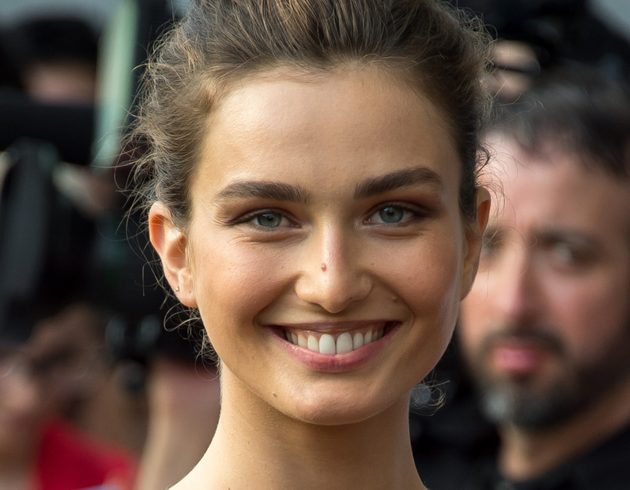 andreea diaconu victoria secrets