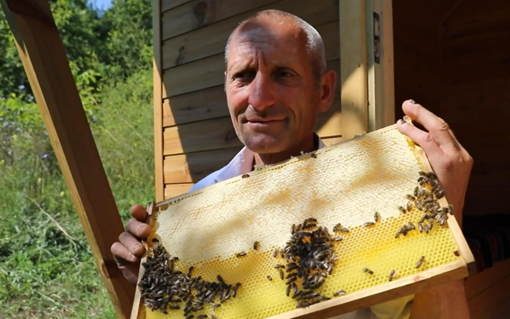 Femeia de apicultura care cauta omul