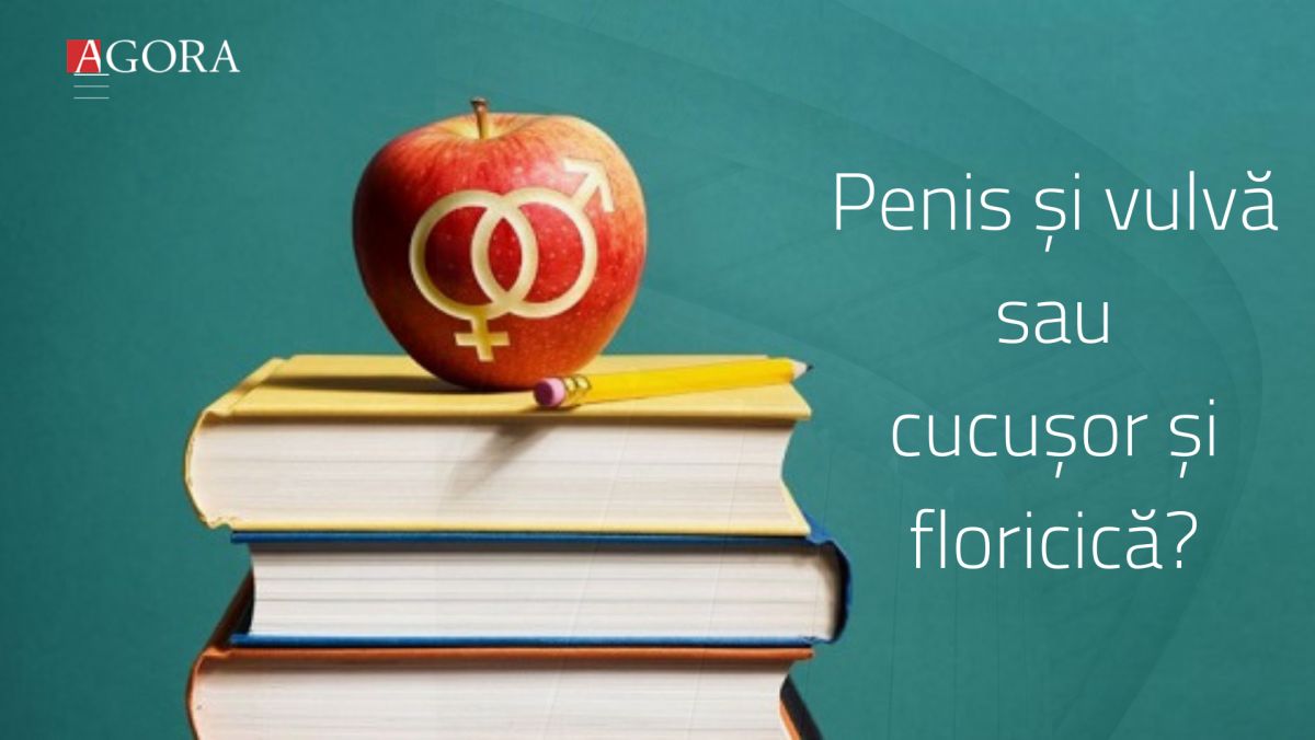 educație în penis