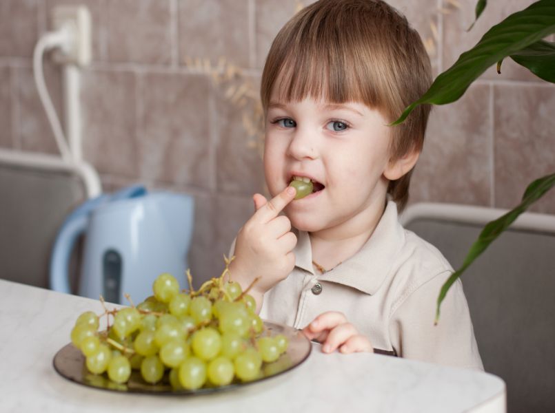 Мальчики едят девочек. Виноград для детей. Кушать виноград. Ест виноград. Девочка ест виноград.