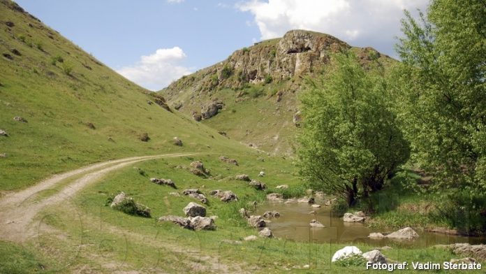 gismeteo briceni caracusenii vechi pe 10 zile