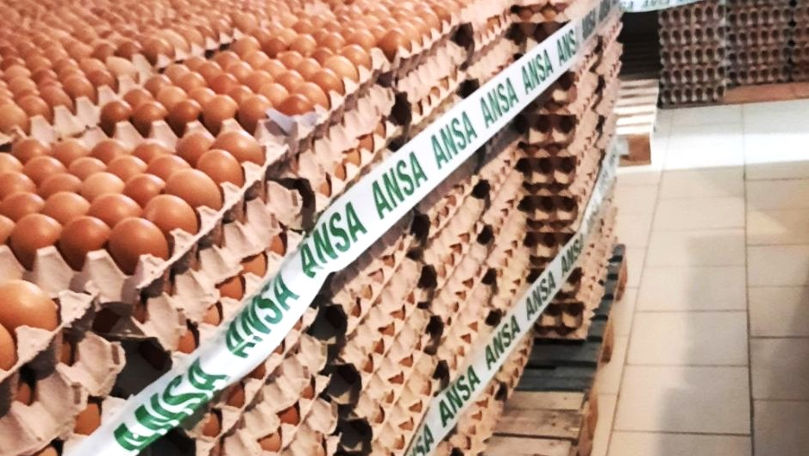 Peste 132 de mii de ouă cu salinomicină, retrase definitiv de pe piață