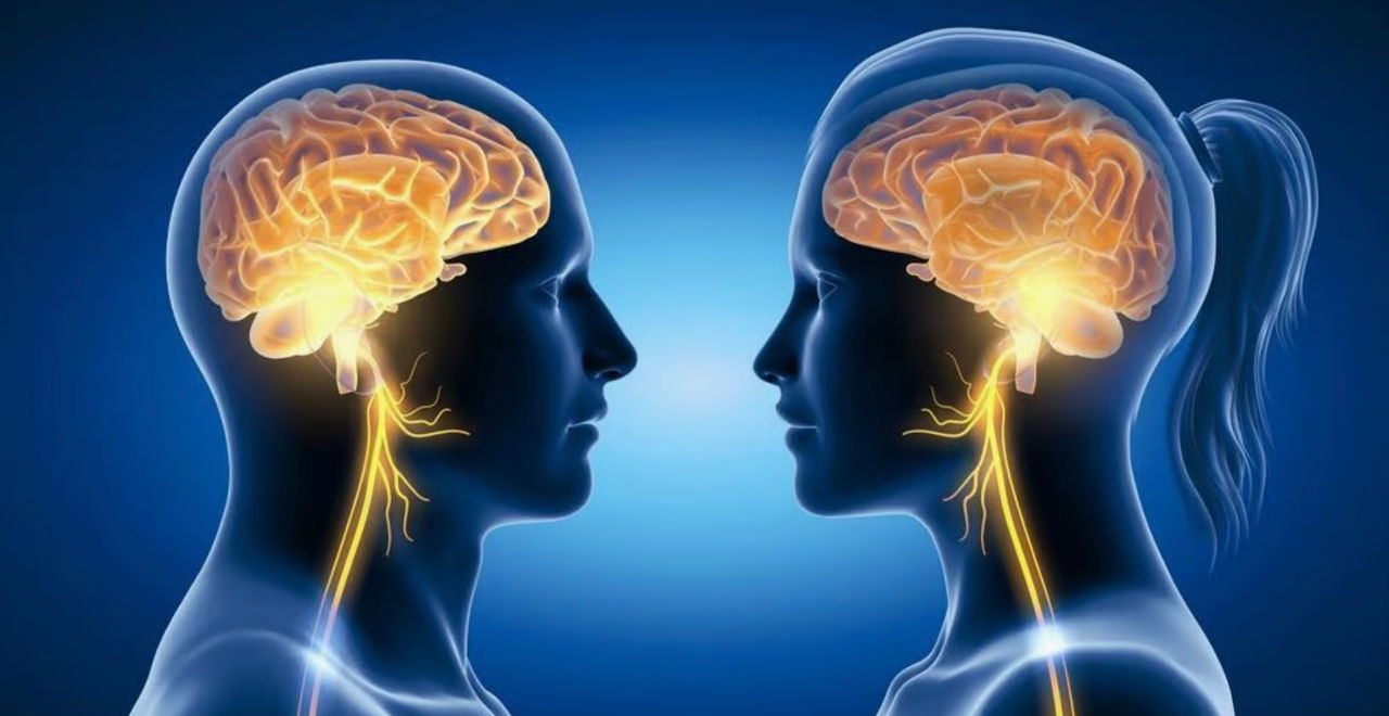 Creierul bărbaților îmbătrânește mai rapid decât cel al femeilor