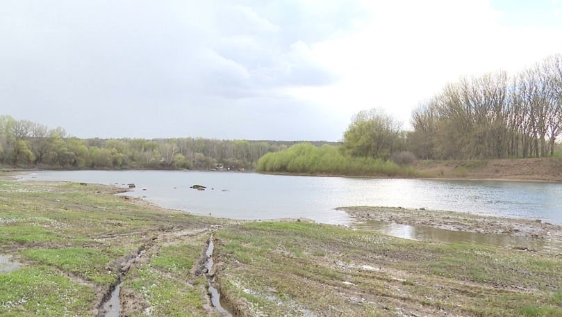 Alarmă pe Râul Nistru: debitul aproape înjumătățit. Avertismentul ecologiștilor